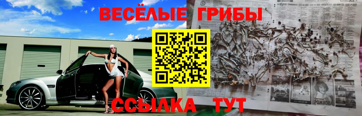 Псилоцибиновые грибы GOLDEN TEACHER  Вход с VPN  Кизляр 